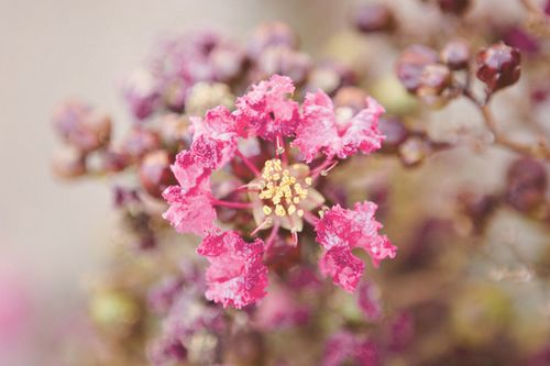 �����ж�����ǽ�赲���ܻ���һ����������������� (4)