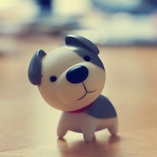 ����Ư��������Ư��