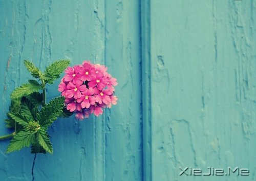 ���㶮�ã�������ϧ (2)