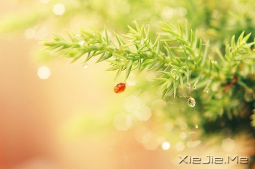 ��Ҫ�������ˣ���Ҫ����Լ� (3)