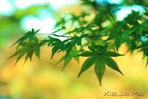 ��Ҫ�������ˣ���Ҫ����Լ� (4)