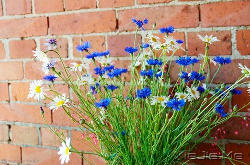 �����ӹ���ʫ���򵥶����� (8)