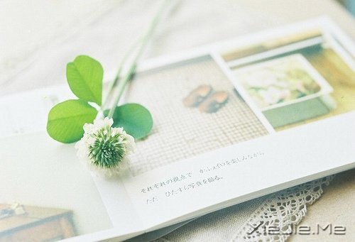 �����ĸ߹�Ӧ�������ڹ�ȥ���Լ� (3)