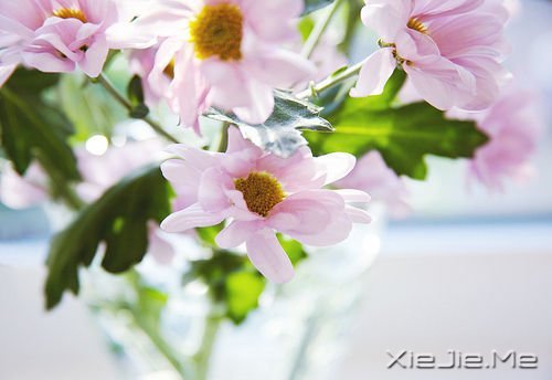 ���۷���ʲô�����ƴ��Լ� (6)