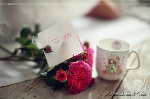 ÿ���˶����Լ�����������ů��֪ (2)