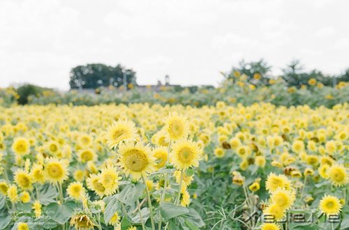 ˽���ɣ�����һ���� (2)