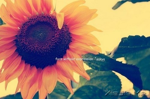 ֻҪ�����ߣ��ܻῴ������ (5)