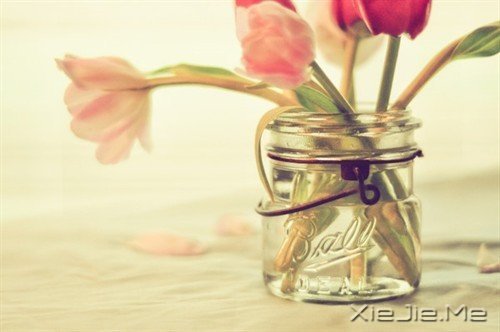 ������������ô��⣬���Լ�������һ��Ҫ���� (10)