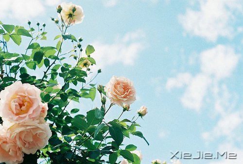 ��Ϊ֪�㣬���Ը��ӽ��Ҹ� (5)