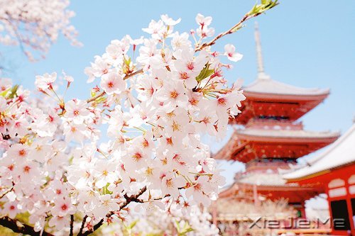 ���ܳɹ���������������� (3)