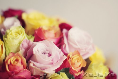 �Ҳ��������������������Լ� (7)