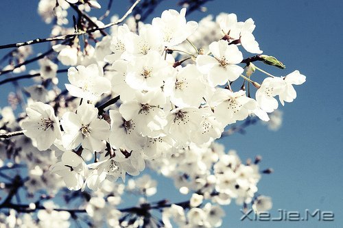 �簲����໰�Ȼ��Ըɾ�һǧ�� (6)