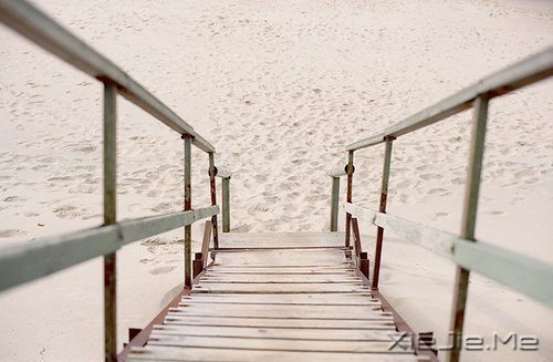 �簲����������Լ����ọ́���Ҫ��ɱ��� (9)