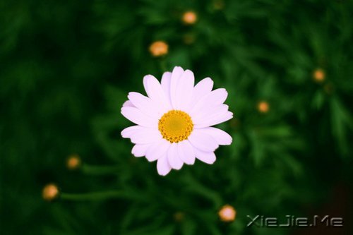 �簲������Լ����������ǣ������Ǳ��������еĿ��� (5)