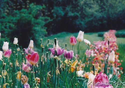 �簲�������ǰ�ߣ��㽫��Զͣ�� (3)