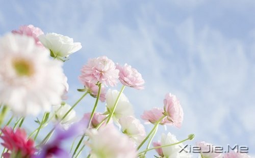 �簲����߽����·�������µ����� (3)