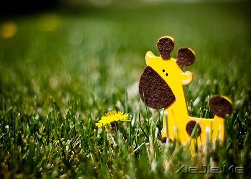 ����������Լ����������ǣ������Ǳ��������еĿ��� (6)