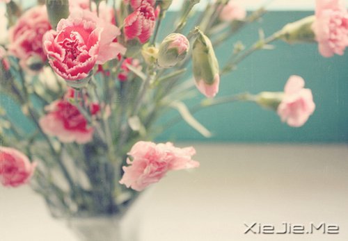 ������������������Ҹ� (3)