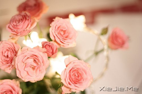 �簲�������Ҫ�ģ����¶������ (4)