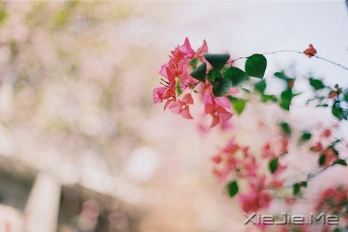 �������յ㣬��΢Цһֱ��ǰ (3)