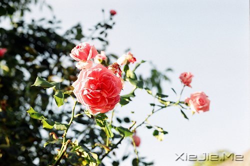 ���������ʰ���飬������· (7)