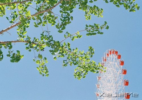 �����������Щ˲�䣬����ů�������� (4)