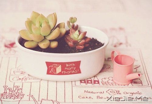 �簲����벻���Ͳ��룬�ò����Ͳ�Ҫ (10)