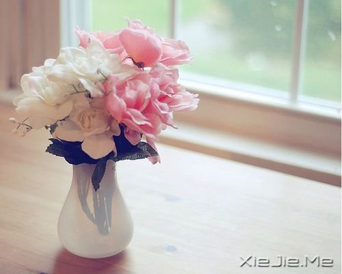 ��������������������������ȥ (3)