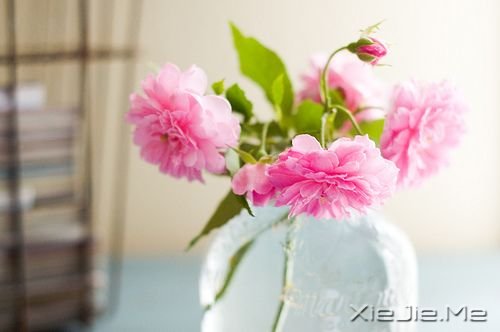 �簲�����ֻ��Ц�ĺܻ������˲Ų��ᱻ���� (1)