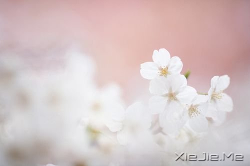 �������������Ҳ������������� (9)