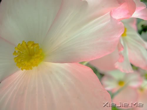 �簲�������������ߣ�Ҳ����һ�����������ͽ (9)