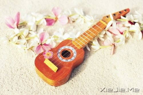 ����������澳�������Ǳ�ø���ǿ (5)