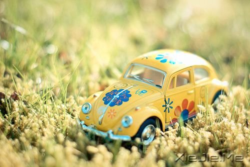 ����������澳�������Ǳ�ø���ǿ (7)