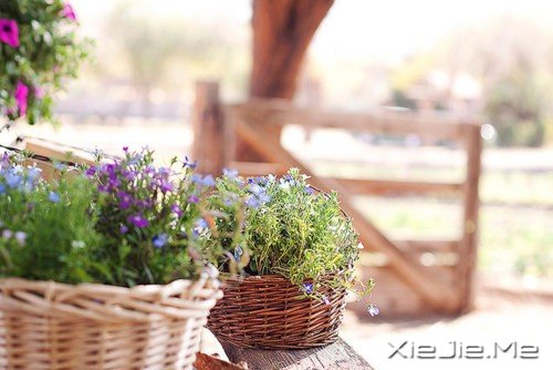 ���������Ҫ��Ϊ�ߵ�̫Զ����������Ϊʲô���� (5)