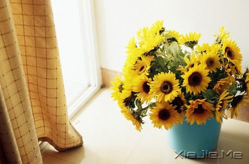 �簲�������ĽŲ����������߳ɰ��ķ羰 (3)