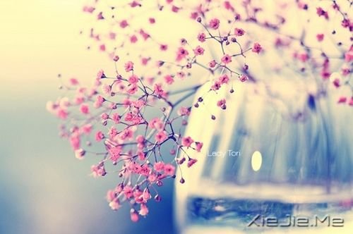 �簲���ֻҪ�����ߣ��ܻῴ������ (7)