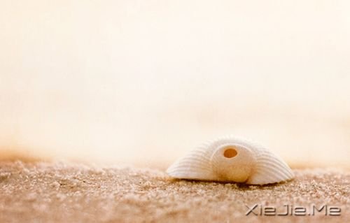 �簲�������ĺ�С����Ҫװ��̫������ (4)