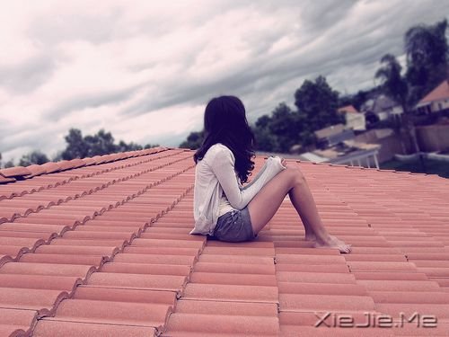 �����������̫͸����ͻ�������Ĺ¶� (8)