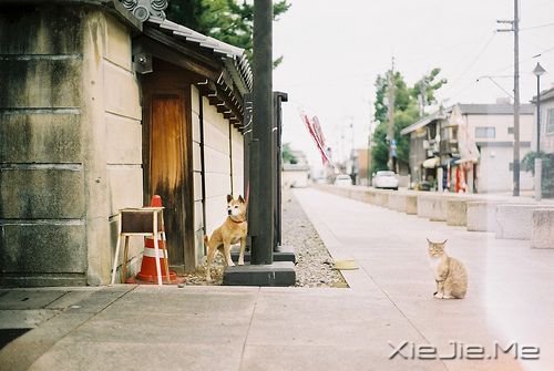 ��������ҵ�Ը���ǣ�һ��˯��Сʱ�� (2)