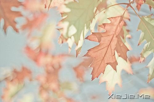 �簲��������Լ���������ֱ�� (6)