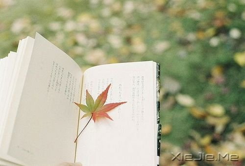 �簲������������£���Ҫһ���˿� (2)