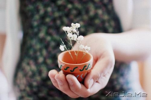 ����������ס������ȥ (8)