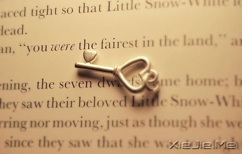 �簲������ߵĺ��������Ҿ������� (1)