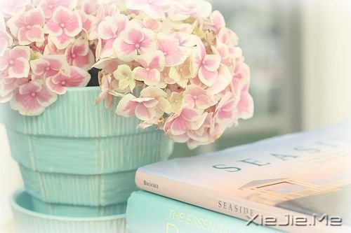 ���Ϻ�������·��