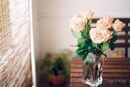 ����һ����Ե�֣�һ���������Ҹ� (4)