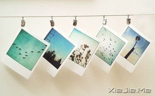 С����ͼƬ (10)