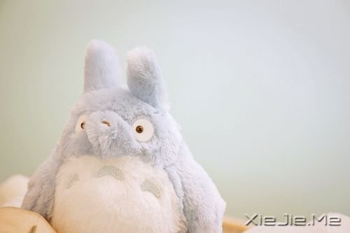 С����ͼƬ (5)