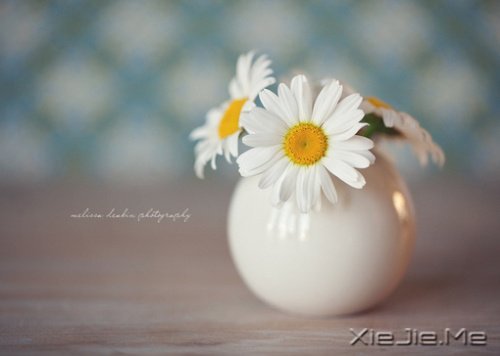 ���������Щ�ز�ȥ�����飬��������� (1)