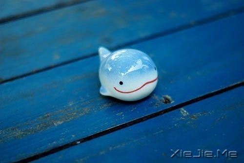 �Լ�ѡ���·���������ҲҪ����