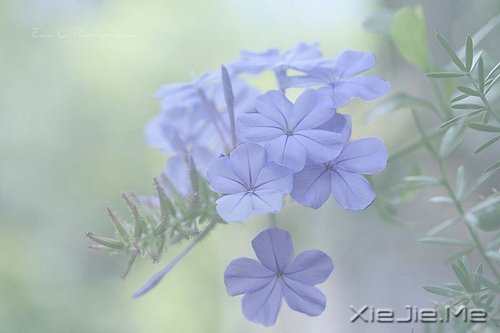 ������¼��������Թ���磬����ı��Լ� (9)